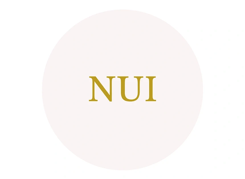 <strong>NUI</strong>